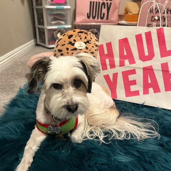 VS pink pajama set! Super soft & comfy size small new with no tags 🏷️ - Picture 9 of 13